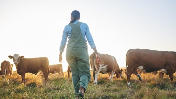 Mujer titular de una explotación agraria europea